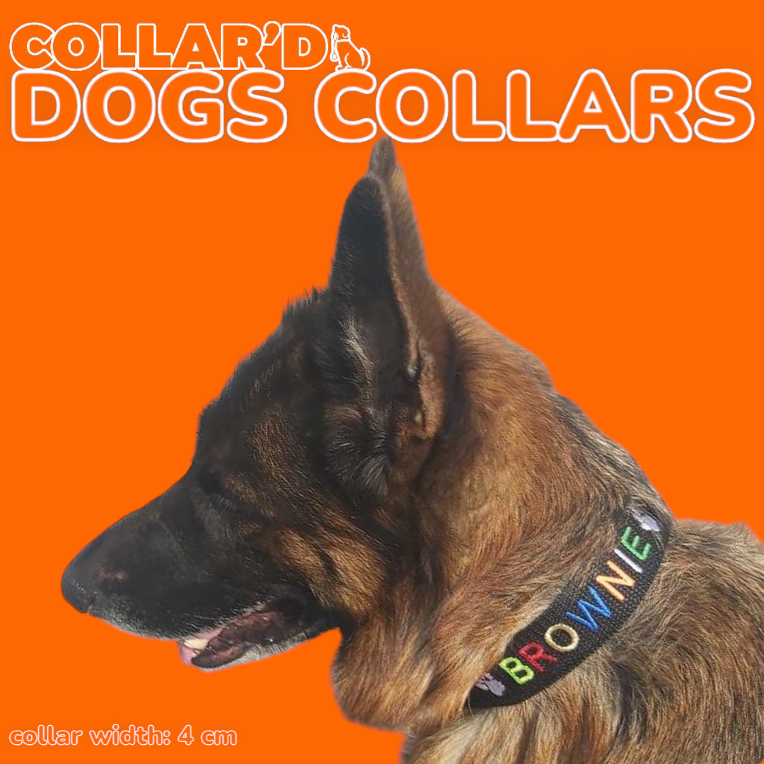Dog Collars - 4 cm width (Plain)