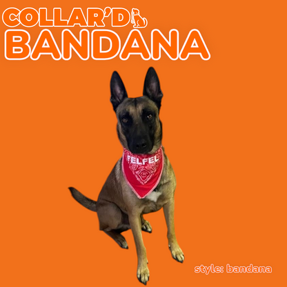 Dog Bandannas