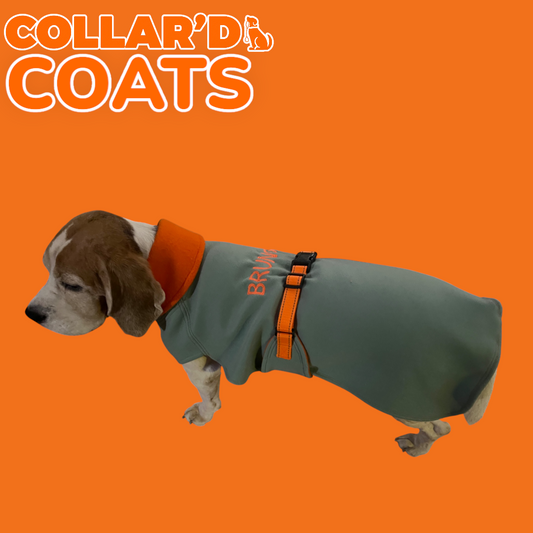 Dog Coats