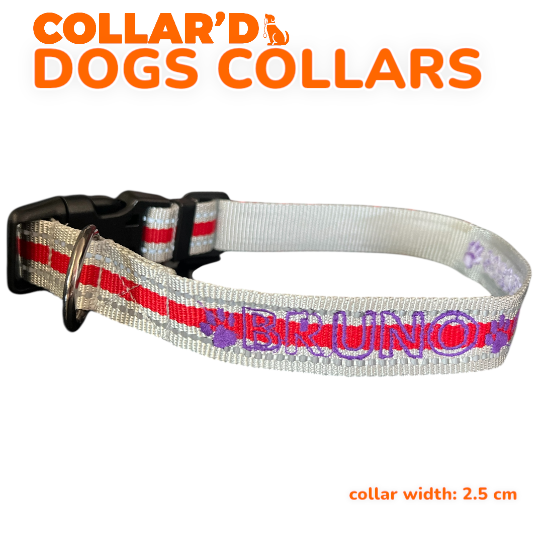 Reflective Dog Collars - 2.5 cm width