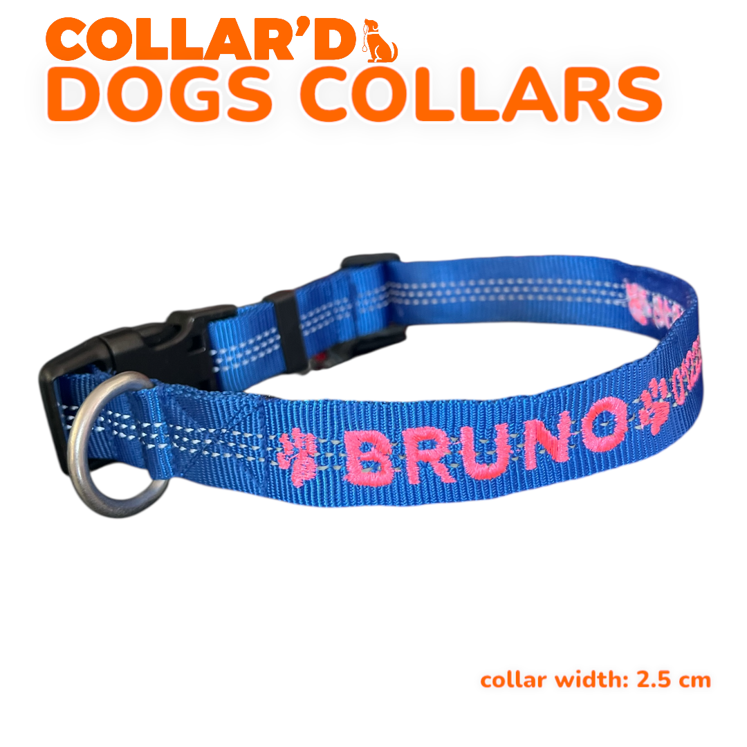 Reflective Dog Collars - 2.5 cm width