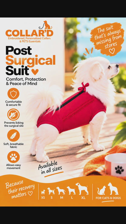 Post Surgical Suit
