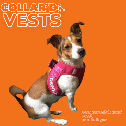Dog Vests