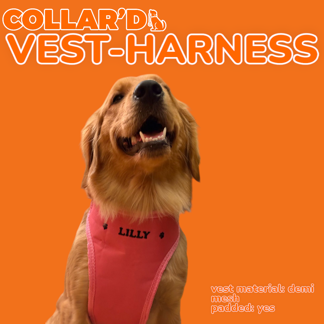 Dog Vest Harness
